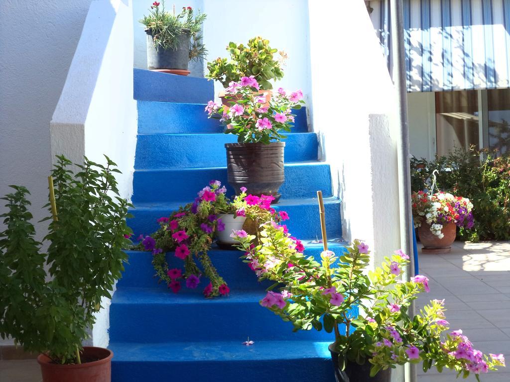 Antonios Apartments Stegna Archangelos  Ngoại thất bức ảnh