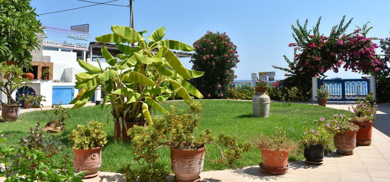 Antonios Apartments Stegna Archangelos  Ngoại thất bức ảnh